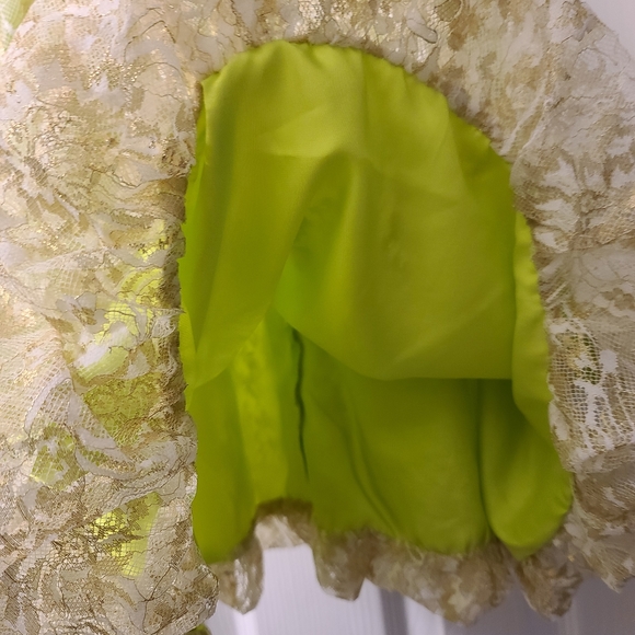 Light Green and Gold Lace Short Formal, Homecoming Fairy Dress - Picture 9 of 9